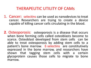 THERAPEUTIC UTILITY OF CAMs
1. Cancer: selectins can be used as nanodevices to treat
cancer. Researchers are trying to create a device
capable of killing cancer cells circulating in the blood.
2. Osteoporosis: osteoporosis is a disease that occurs
when bone forming cells called osteoblasts become to
scarce. Osteoblast developed from stem cells can be
able to treat osteoporosis by adding stem cells to a
patient’s bone marrow. E-selectins are constitutively
expressed in the bone marrow, and researchers have
shown that tagging stem cells with a certain
glycoprotein causes those cells to migrate to bone
marrow.
 