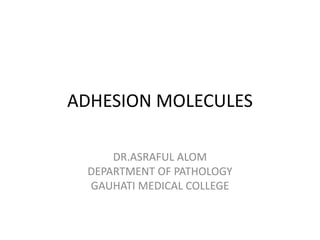 ADHESION MOLECULES
DR.ASRAFUL ALOM
DEPARTMENT OF PATHOLOGY
GAUHATI MEDICAL COLLEGE
 