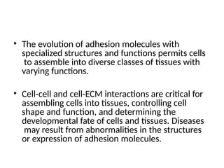 • The evolution of adhesion molecules with
specialized structures and functions permits cells
to assemble into diverse classes of tissues with
varying functions.
• Cell-cell and cell-ECM interactions are critical for
assembling cells into tissues, controlling cell
shape and function, and determining the
developmental fate of cells and tissues. Diseases
may result from abnormalities in the structures
or expression of adhesion molecules.
 