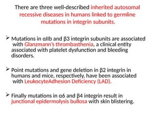 There are three well-described inherited autosomal
recessive diseases in humans linked to germline
mutations in integrin subunits.
 Mutations in αIIb and β3 integrin subunits are associated
with Glanzmann’s thrombasthenia, a clinical entity
associated with platelet dysfunction and bleeding
disorders.
 Point mutations and gene deletion in β2 integrin in
humans and mice, respectively, have been associated
with LeukocyteAdhesion Deficiency (LAD).
 Finally mutations in α6 and β4 integrin result in
junctional epidermolysis bullosa with skin blistering.
 