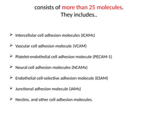 consists of more than 25 molecules.
They includes..
 Intercellular cell adhesion molecules (ICAMs)
 Vascular cell adhesion molecule (VCAM)
 Platelet-endothelial cell adhesion molecule (PECAM-1)
 Neural cell adhesion molecules (NCAMs)
 Endothelial cell-selective adhesion molecule (ESAM)
 Junctional adhesion molecule (JAMs)
 Nectins, and other cell adhesion molecules.
 