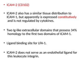 • ICAM-2 (CD102)
• ICAM-2 also has a similar tissue distribution to
ICAM-1, but apparently is expressed constitutively
and is not regulated by cytokines.
• Two Ig-like extracellular domains that possess 34%
homology to the first two domains of ICAM-1.
• Ligand binding site for LFA-1.
• ICAM-2 does not serve as an endothelial ligand for
this leukocyte integrin.
 
