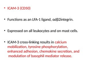• ICAM-3 (CD50)
• Functions as an LFA-1 ligand, αdβ2integrin.
• Expressed on all leukocytes and on mast cells.
• ICAM-3 cross-linking results in calcium
mobilization, tyrosine phosphorylation,
enhanced adhesion, chemokine secretion, and
modulation of basophil mediator release.
 
