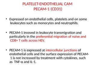 PLATELET-ENDOTHELIAL CAM
PECAM-1 (CD31)
• Expressed on endothelial cells, platelets and on some
leukocytes such as monocytes and neutrophils.
• PECAM-1 invoved in leukocyte transmigration and
particularly in the preferential migration of naive and
CD8+ T cells across HEV.
• PECAM-1 is expressed at intercellular junctions of
endothelial cells and the surface expression of PECAM-
1 is not increased by treatment with cytokines, such
as TNF-α and IL-1.
 