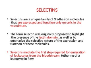 SELECTINS
• Selectins are a unique family of 3 adhesion molecules
that are expressed and function only on cells in the
vasculature.
• The term selectin was originally proposed to highlight
the presence of the lectin domain, as well as to
emphasize the selective nature of the expression and
function of these molecules.
• Selectins mediate the first step required for emigration
of leukocytes from the bloodstream, tethering of a
leukocyte in flow.
 