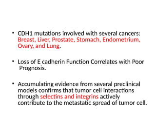 • CDH1 mutations involved with several cancers:
Breast, Liver, Prostate, Stomach, Endometrium,
Ovary, and Lung.
• Loss of E cadherin Function Correlates with Poor
Prognosis.
• Accumulating evidence from several preclinical
models confirms that tumor cell interactions
through selectins and integrins actively
contribute to the metastatic spread of tumor cell.
 
