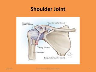 Shoulder Joint
1/13/2021 Frozen Shoulder by Dr. Shazia Khalfe 5
 