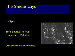 Smearing Adhesion Example Adhesives | PPT