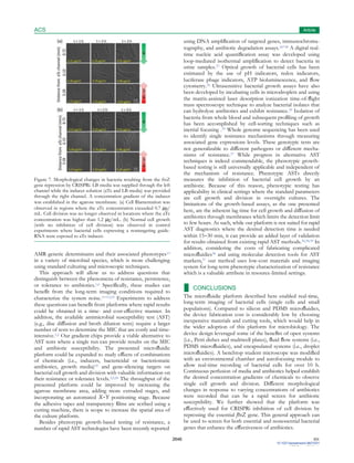 ACS
Sensors
Article
2646 DOI:
10.1021/acssensors.9b01031
ACS Sens. 2019, 4,
2638−2645
Figure 7. Morphological changes in bacteria resulting from the ftsZ
gene repression by CRISPRi. LB media was supplied through the left
channel while the inducer solution (aTc and LB media) was provided
through the right channel. A concentration gradient of the inducer
was established in the agarose membrane. (a) Cell ﬁlamentation was
observed in regions where the aTc concentration exceeded 0.7 μg/
mL. Cell division was no longer observed in locations where the aTc
concentration was higher than 1.2 μg/mL. (b) Normal cell growth
(with no inhibition of cell division) was observed in control
experiments where bacterial cells expressing a nontargeting guide-
RNA were exposed to aTc inducer.
AMR genetic determinants and their associated phenotypes13
in a variety of microbial species, which is more challenging
using standard culturing and microscopic techniques.
This approach will allow us to address questions that
distinguish between the phenomena of resistance, persistence,
or tolerance to antibiotics.1,6 Speciﬁcally, these studies can
beneﬁt from the long-term imaging conditions required to
characterize the system noise.11−13,33 Experiments to address
these questions can beneﬁt from platforms where rapid results
could be obtained in a time- and cost-eﬀective manner. In
addition, the available antimicrobial susceptibility test (AST)
(e.g., disc diﬀusion and broth dilution tests) require a larger
number of tests to determine the MIC that are costly and time-
intensive.1,2 Our gradient chips provide a viable alternative to
AST tests where a single run can provide results on the MIC
and antibiotic susceptibility. The presented microﬂuidic
platform could be expanded to study eﬀects of combinations
of chemicals (i.e., inducers, bactericidal or bacteriostatic
antibiotics, growth media)35 and gene-silencing targets on
bacterial cell growth and division with valuable information on
their resistance or tolerance levels.3,5,26 The throughput of the
presented platform could be improved by increasing the
agarose membrane area, adding more extruded stages, and
incorporating an automated X−Y positioning stage. Because
the adhesive tapes and transparency ﬁlms are scribed using a
cutting machine, there is scope to increase the spatial area of
the culture platform.
Besides phenotypic growth-based testing of resistance, a
number of rapid AST technologies have been recently reported
using DNA ampliﬁcation of targeted genes, immunochroma-
tography, and antibiotic degradation assays.36−38 A digital real-
time nucleic acid quantiﬁcation assay was developed using
loop-mediated isothermal ampliﬁcation to detect bacteria in
urine samples.37 Optical growth of bacterial cells has been
estimated by the use of pH indicators, redox indicators,
luciferase phage indicators, ATP bioluminescence, and ﬂow
cytometry.36 Ultrasensitive bacterial growth assays have also
been developed by incubating cells in microdroplets and using
the matrix-assisted laser desorption ionization time-of-ﬂight
mass spectroscopy technique to analyze bacterial isolates that
can hydrolyze antibiotics and exhibit resistance.39 Isolation of
bacteria from whole blood and subsequent proﬁling of growth
has been accomplished by cell-sorting techniques such as
inertial focusing .39 Whole genome sequencing has been used
to identify single resistance mechanisms through measuring
associated gene expressions levels. These genotypic tests are
not generalizable to diﬀerent pathogens or diﬀerent mecha-
nisms of resistance.37 While progress in alternative AST
techniques is indeed commendable, the phenotypic growth-
based testing is still universally applicable and independent of
the mechanism of resistance. Phenotypic ASTs directly
measures the inhibition of bacterial cell growth by an
antibiotic. Because of this reason, phenotypic testing has
applicability in clinical settings where the standard parameters
are cell growth and division in overnight cultures. The
limitations of the growth-based assays, as the one presented
here, are the inherent lag time for cell growth and diﬀusion of
antibiotics through membranes which limits the detection limit
to few hours. As such, while our platform is not suited for rapid
AST diagnostics where the desired detection time is needed
within 15−30 min, it can provide an added layer of validation
for results obtained from existing rapid AST methods.36,38,39 In
addition, considering the costs of fabricating complicated
microﬂuidics38 and using molecular detection tools for AST
markers,37 our method uses low-cost materials and imaging
system for long-term phenotypic characterization of resistance
which is a valuable attribute in resource-limited settings.
■ CONCLUSIONS
The microﬂuidic platform described here enabled real-time,
long-term imaging of bacterial cells (single cells and small
populations). Compared to silicon and PDMS microﬂuidics,
the device fabrication cost is considerably low by choosing
inexpensive materials and cutting tools, which would help in
the wider adoption of this platform for microbiology. The
device design leveraged some of the beneﬁts of open systems
(i.e., Petri dishes and multiwell plates), ﬂuid ﬂow systems (i.e.,
PDMS microﬂuidics), and encapsulated systems (i.e., droplet
microﬂuidics). A benchtop student microscope was modiﬁed
with an environmental chamber and autofocusing module to
allow real-time recording of bacterial cells for over 10 h.
Continuous perfusion of media and antibiotics helped establish
the desired concentration gradients of chemicals to observe
single cell growth and division. Diﬀerent morphological
changes in response to varying concentrations of antibiotics
were recorded that can be a rapid screen for antibiotic
susceptibility. We further showed that the platform was
eﬀectively used for CRISPRi inhibition of cell division by
repressing the essential ftsZ gene. This general approach can
be used to screen for both essential and nonessential bacterial
genes that enhance the eﬀectiveness of antibiotics.
 
