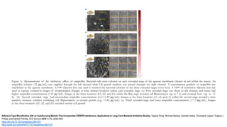 Figure 6. Measurements of the inhibitory eﬀect of ampicillin. Bacterial cells were cultured on each extruded stage of the agarose membrane (shown in red within the insets). An
ampicillin solution (32 μg/mL) was supplied through the left channel while LB growth medium was passed through the right channel. A concentration gradient of ampicillin was
established in the agarose membrane. A 10× objective lens was used to monitor the bacterial colonies on the three extruded stages every hour. A 100× oil immersion objective lens was
used to capture zoomed-in images of morphological changes at three distinct locations within each extruded stage. (a) First extruded stage was closer to left channel, and hence had
higher ampicillin concentrations (>15 μg/mL). Images at the three locations (b1, b2, and b3) within the ﬁrst stage revealed cell ﬁlamentation (up to 7 h) and eventual lysis (up to 11
h). (b) Second extruded stage had intermediate ampicillin concentrations (6.6−11.82 μg/mL). Images at the three locations (c1, c2, and c3) within the second stage revealed a clear
partition between colonies exhibiting cell ﬁlamentation or normal growth (e.g., 11.82 μg/mL). (c) Third extruded stage had lower ampicillin concentrations (<7.5 μg/mL). Images
at the three locations (d1, d2, and d3) revealed normal cell growth.
Adhesive Tape Microfluidics with an Autofocusing Module That Incorporates CRISPR Interference: Applications to Long-Term Bacterial Antibiotic Studies, Taejoon Kong, Nicholas Backes, Upender Kalwa, Christopher Legner, Gregory J.
Phillips, and Santosh Pandey, ACS Sensors 2019 4 (10), 2638-2645
https://doi.org/10.1021/acssensors.9b01031
https://pubs.acs.org/doi/full/10.1021/acssensors.9b01031
 
