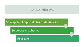 AUTOADHESIVO
Se respeta el tapón de barro dentinario.
Se coloca el adhesivo
Fotocura
 