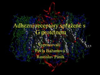 Adhezní receptory spřažené s   G proteinem Vypracovali:  Pavla Bažantová Rostislav Páník 