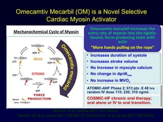 Omecamtiv Mecarbil (OM) is a Novel Selective
Cardiac Myosin Activator
Malik Fl, et al. Science 2011; 331:1439-43
Teerlink JR, et al. Lancet 2011; 378:667-75; Cleland JGF, et al. Lancet 2011; 378:676-83
Mechanochemical Cycle of Myosin
•
• Increases duration of systole
• Increases stroke volume
• No Increase in myocyte calcium
• No change in dp/dtmax
• No increase in MVO2
ATOMIC-AHF Phase 2; 613 pts .X 48 hrs
random IV dose 115; 230; 310 ng/ml.
ATOMIC-AHF Phase 2; 613 pts .X 48 hrs
random IV dose 115; 230; 310 ng/ml.
COSMIC-HF chronic oral therapy;
oral alone or IV to oral transition.
COSMIC-HF chronic oral therapy;
oral alone or IV to oral transition.
Omecamtiv mecarbil increases the
entry rate of myosin into the tightly-
bound, force-producing state with
actin
“More hands pulling on the rope”
34
 