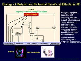 Biology of Relaxin and Potential Beneficial Effects in HF
Teichman SL, Unemori E, Teerlink JR, Cotter G, Metra M - Curr Heart Fail Rep (2010)
Endogenous peptide
associated with
pregnancy, and acts
through relaxin receptor:
reduce inflammation,
decrease fibrosis,
attenuate ventricular
remodeling, increase
vasodilation, promote
renal blood flow,
increase vascular
endothelial growth
factor, and angiogenesis.
↓Inflammation↓Inflammation ↓Fibrosis↓Fibrosis ↑Vasodilation↑Vasodilation Renal effectsRenal effects AngiogenesisAngiogenesis
Relaxin ReceptorRelaxin Receptor
RelaxinRelaxin
Pregnancy associated endogenous peptide
Relaxin ReceptorRelaxin
44
 