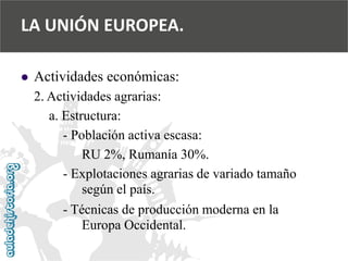  
Actividades económicas: 
2. Actividades agrarias: 
a. Estructura: 
-Población activa escasa: 
RU 2%, Rumanía 30%. 
-Explotaciones agrarias de variado tamaño 
según el país. 
-Técnicas de producción moderna en la 
Europa Occidental. 
LA UNIÓN EUROPEA.  