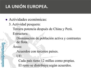  
Actividades económicas: 
3. Actividad pesquera: 
Tercera potencia después de China y Perú. 
Estructura: 
Disminución de población activa y contrastes 
de flota. 
Áreas: 
Acuerdos con terceros países. 
UE: 
Cada país tiene 12 millas como propias. 
El resto se distribuye según acuerdos. 
LA UNIÓN EUROPEA.  