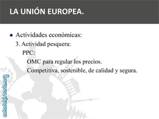  
Actividades económicas: 
3. Actividad pesquera: 
PPC: 
OMC para regular los precios. 
Competitiva, sostenible, de calidad y segura. 
LA UNIÓN EUROPEA.  