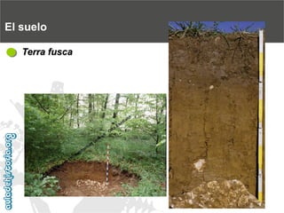 El sueloTerra fusca