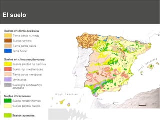 El suelo