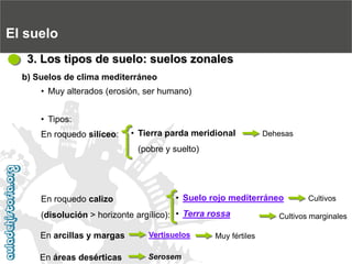 En roquedo calizo(disolución > horizonte argílico): El suelo3. Los tipos de suelo: suelos zonalesb) Suelos de clima mediterráneo
•Muy alterados (erosión, ser humano)
•Tipos:
•Tierra parda meridional(pobre y suelto) DehesasEn roquedo silíceo:
•Suelo rojo mediterráneo
•Terra rossaCultivosCultivos marginalesEn arcillas y margasVertisuelosMuy fértilesEn áreas desérticasSerosem