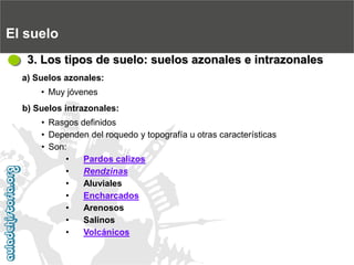 El suelo3. Los tipos de suelo: suelos azonales e intrazonalesa) Suelos azonales:
•Muy jóvenes
b) Suelos intrazonales:
•Rasgos definidos
•Dependen del roquedo y topografía u otras características
•Son:
•Pardos calizos
•Rendzinas
•Aluviales
•Encharcados
•Arenosos
•Salinos
•Volcánicos