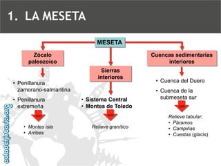 MESETA 
Zócalo paleozoico 
Sierras interioresCuencas sedimentarias interiores 
•Sistema Central 
•Montes de Toledo 
•Penillanura zamorano-salmantina 
•Penillanura extremeña 
•Montes isla 
•Arribes 
•Cuenca del Duero 
•Cuenca de la submeseta sur 
Relieve tabular: 
•Páramos 
•Campiñas 
•Cuestas (glacis) 
Relieve granítico 
con 
concon 
1.LA MESETA  