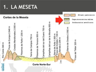 Cortes de la MesetaCorte Norte-Sur 
1.LA MESETA  