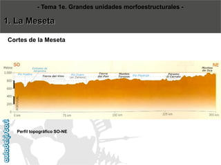 Cortes de la Meseta 
-Tema 1e. Grandes unidades morfoestructurales - 
1. La Meseta 
Perfil topográfico SO-NE  