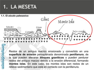 Restosdeunantiguomacizoerosionadoyconvertidoenunasuperficiedeerosiónpeniaplanadadenominadapenillanura,delaquepuedenelevarsebloquesgraníticosopuedenperdurarrestosdelantiguomacizodebidoalaerosióndiferencial,formandomontesislas.Enestecaso,losmontesislassonrestosdeunrelievesedimentarioqueestáencontactoconlapenillanura. 
1.1. El zócalo paleozoico 
1.LA MESETA  