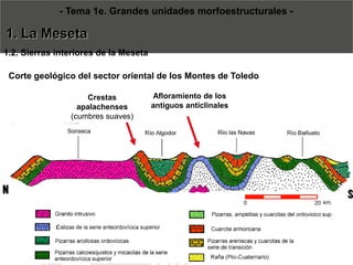 Corte geológico del sector oriental de los Montes de Toledo-Tema 1e. Grandes unidades morfoestructurales - 1. La Meseta 
1.2. Sierras interiores de la Meseta 
Afloramiento de los antiguos anticlinalesCrestas apalachenses(cumbres suaves)  