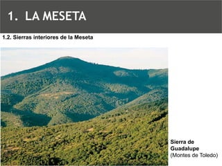 Sierra de Guadalupe (Montes de Toledo) 1.2. Sierras interiores de la Meseta 
1.LA MESETA  