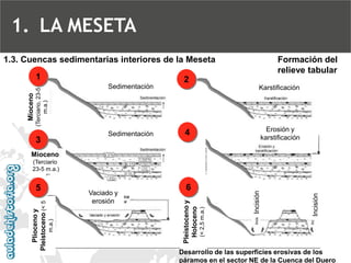 1.3. Cuencas sedimentarias interiores de la Meseta Mioceno(Terciario, 23-5 m.a.) SedimentaciónKarstificación Plioceno y Pleistoceno (< 5 m.a.) 
SedimentaciónErosión y karstificación 
Vaciado y erosión Pleistoceno y Holoceno(< 2,5 m.a.) IncisiónIncisión Desarrollo de las superficies erosivas de los páramos en el sector NE de la Cuenca del DueroMioceno(Terciario23-5 m.a.) 123456Formación del relieve tabular 
1.LA MESETA  
