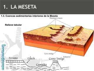 1.3. Cuencas sedimentarias interiores de la MesetaRelieve tabular 
1.LA MESETA  