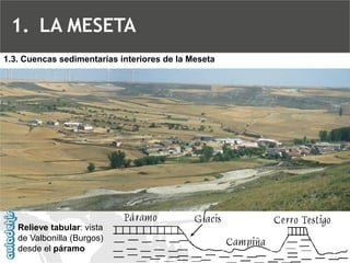 Relieve tabular: vista de Valbonilla (Burgos) desde elpáramo1.3. Cuencas sedimentarias interiores de la Meseta 
1.LA MESETA  
