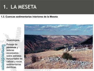 Guadalajara. Paisaje de páramos y laderas escarpadas sobre estratos horizontales de calizas y rocas sedimentarias detríticas. 1.3. Cuencas sedimentarias interiores de la Meseta 
1.LA MESETA  