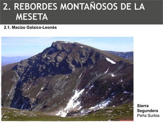Sierra Segundera Peña Surbia2.1. Macizo Galaico-Leonés2. REBORDES MONTAÑOSOS DE LA MESETA  