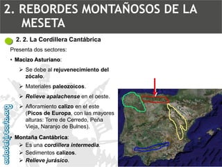 2. 2. La Cordillera CantábricaPresenta dos sectores: 
•Macizo Asturiano: 
Se debe al rejuvenecimiento del zócalo. 
Materiales paleozoicos. 
Relieve apalachenseen el oeste. 
Afloramiento calizoen el este (Picos de Europa, con las mayores alturas: Torre de Cerredo, Peña Vieja, Naranjo de Bulnes). 
•Montaña Cantábrica: 
Es una cordillera intermedia. 
Sedimentos calizos. 
Relieve jurásico. 
2. REBORDES MONTAÑOSOS DE LA MESETA  
