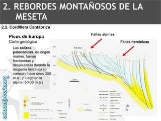 Picos de EuropaCorte geológico2.2. Cordillera CantábricaLas calizas paleozoicas, de origen marino, fueron fracturadas y desplazadas durante la orogenia hercínica (o varisca), hace unos 300 m.a., y luego en la alpina (50-30 m.a.) Fallas alpinasFallas hercínicas2. REBORDES MONTAÑOSOS DE LA MESETA  