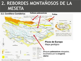 Picos de EuropaMapa geológico2.2. Cordillera CantábricaCalizas paleozoicasFallasBloquespaleozoicos alargados, levantados por la orogenia alpina2. REBORDES MONTAÑOSOS DE LA MESETA  