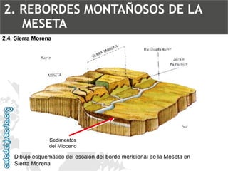 2.4. Sierra MorenaDibujo esquemático del escalón del borde meridional de la Meseta en Sierra MorenaSedimentos del Mioceno2. REBORDES MONTAÑOSOS DE LA MESETA  