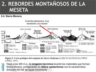 2.4. Sierra MorenaCuarcita paleozoica, muy resistente a la erosiónHace unos 300 m.a., la orogenia hercínica levantó los materiales que forman Sierra Morena, configurando un relieve apalachense con la característica dirección NO-SE de aquel movimiento2. REBORDES MONTAÑOSOS DE LA MESETA  
