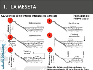 1.3. Cuencas sedimentarias interiores de la Meseta Mioceno(Terciario, 23-5 m.a.) SedimentaciónKarstificación Plioceno y Pl...