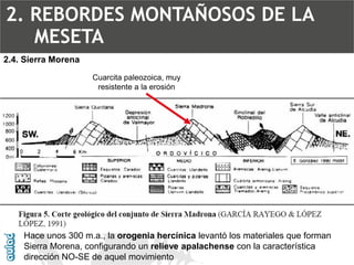 2.4. Sierra MorenaCuarcita paleozoica, muy resistente a la erosiónHace unos 300 m.a., la orogenia hercínica levantó los ma...