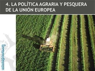 4. LA POLÍTICA AGRARIA Y PESQUERA
DE LA UNIÓN EUROPEA

 