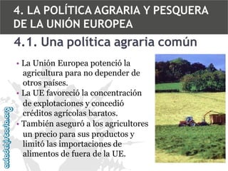 4. LA POLÍTICA AGRARIA Y PESQUERA
DE LA UNIÓN EUROPEA

4.1. Una política agraria común
• La Unión Europea potenció la
agricultura para no depender de
otros países.
• La UE favoreció la concentración
de explotaciones y concedió
créditos agrícolas baratos.
• También aseguró a los agricultores
un precio para sus productos y
limitó las importaciones de
alimentos de fuera de la UE.

 