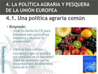 4. LA POLÍTICA AGRARIA Y PESQUERA
DE LA UNIÓN EUROPEA

4.1. Una política agraria común
• Responde:
▫ ¿Qué ha hecho la UE para
fomentar una agricultura
intensiva y mejorar la
producción?
▫ ¿Qué se hace con los
excedentes que no pueden
ser vendidos en el mercado?
¿Qué ha sucedido con las
importaciones de alimentos
fuera de la UE?

 