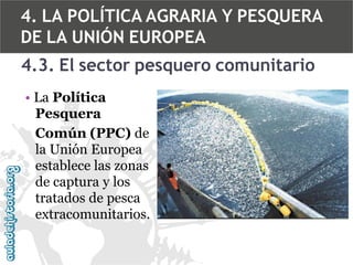 4. LA POLÍTICA AGRARIA Y PESQUERA
DE LA UNIÓN EUROPEA
4.3. El sector pesquero comunitario
• La Política
Pesquera
Común (PPC) de
la Unión Europea
establece las zonas
de captura y los
tratados de pesca
extracomunitarios.

 