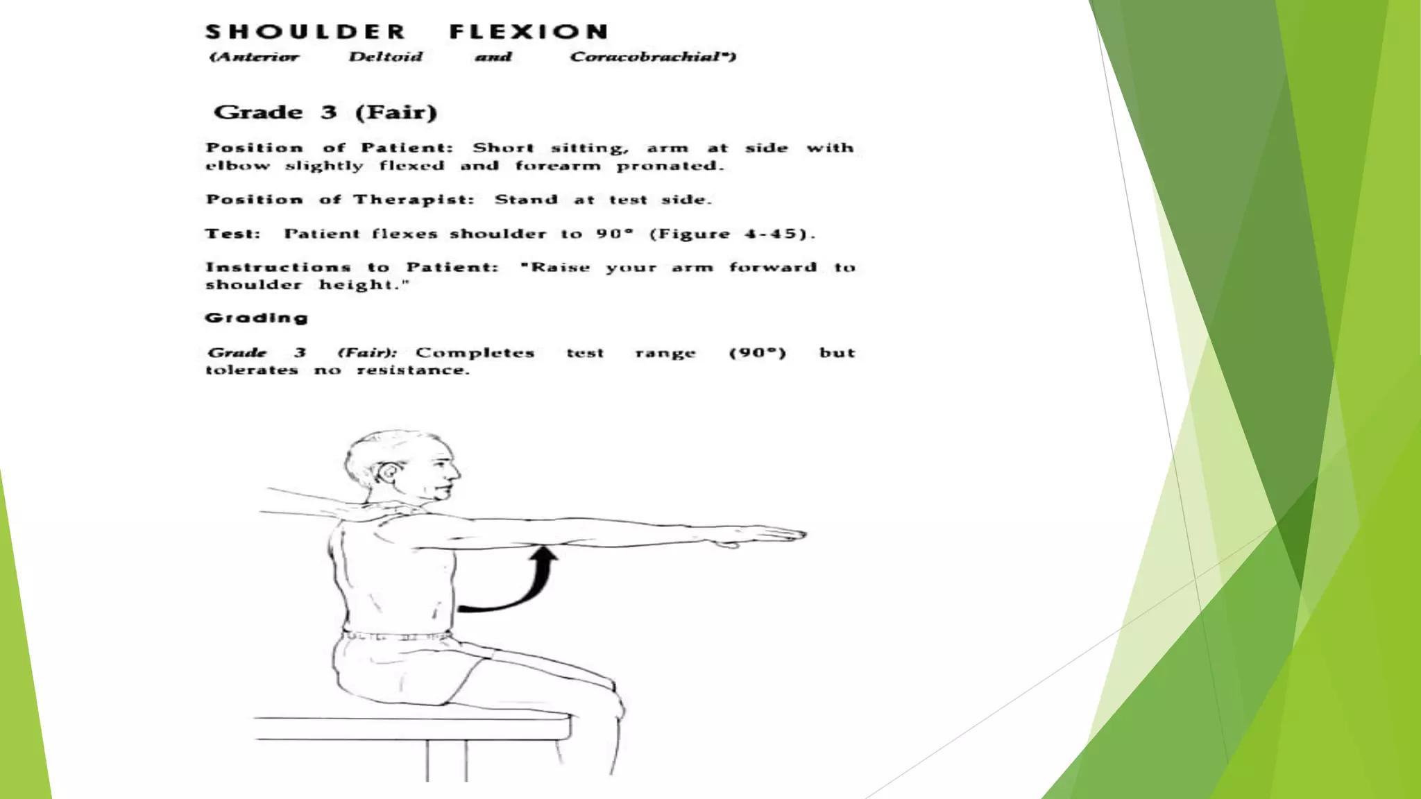 Mcle Testing manual muscle testing by K Adhi lakshmi vapms cop | PPTX