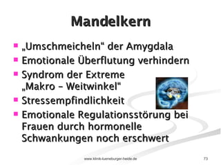 Mandelkern „ Umschmeicheln“ der Amygdala Emotionale Überflutung verhindern Syndrom der Extreme „Makro – Weitwinkel“ Stressempfindlichkeit Emotionale Regulationsstörung bei  Frauen durch hormonelle Schwankungen noch erschwert 