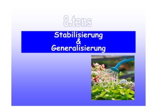 Stabilisierung
&
Generalisierung
 